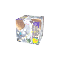 Новогодняя ночь Салют купить в Калязине | kalyazin.salutsklad.ru