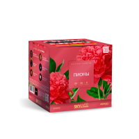 Пионы Салют купить в Калязине | kalyazin.salutsklad.ru