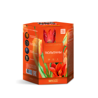 Тюльпаны Салют купить в Калязине | kalyazin.salutsklad.ru