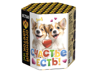 Счастье есть! Салют купить в Калязине | kalyazin.salutsklad.ru