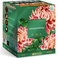 Хризантемы Фейерверк купить в Калязине | kalyazin.salutsklad.ru