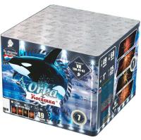 Косатка Фейерверк купить в Калязине | kalyazin.salutsklad.ru