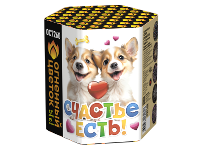 Счастье есть! Салют купить в Калязине | kalyazin.salutsklad.ru